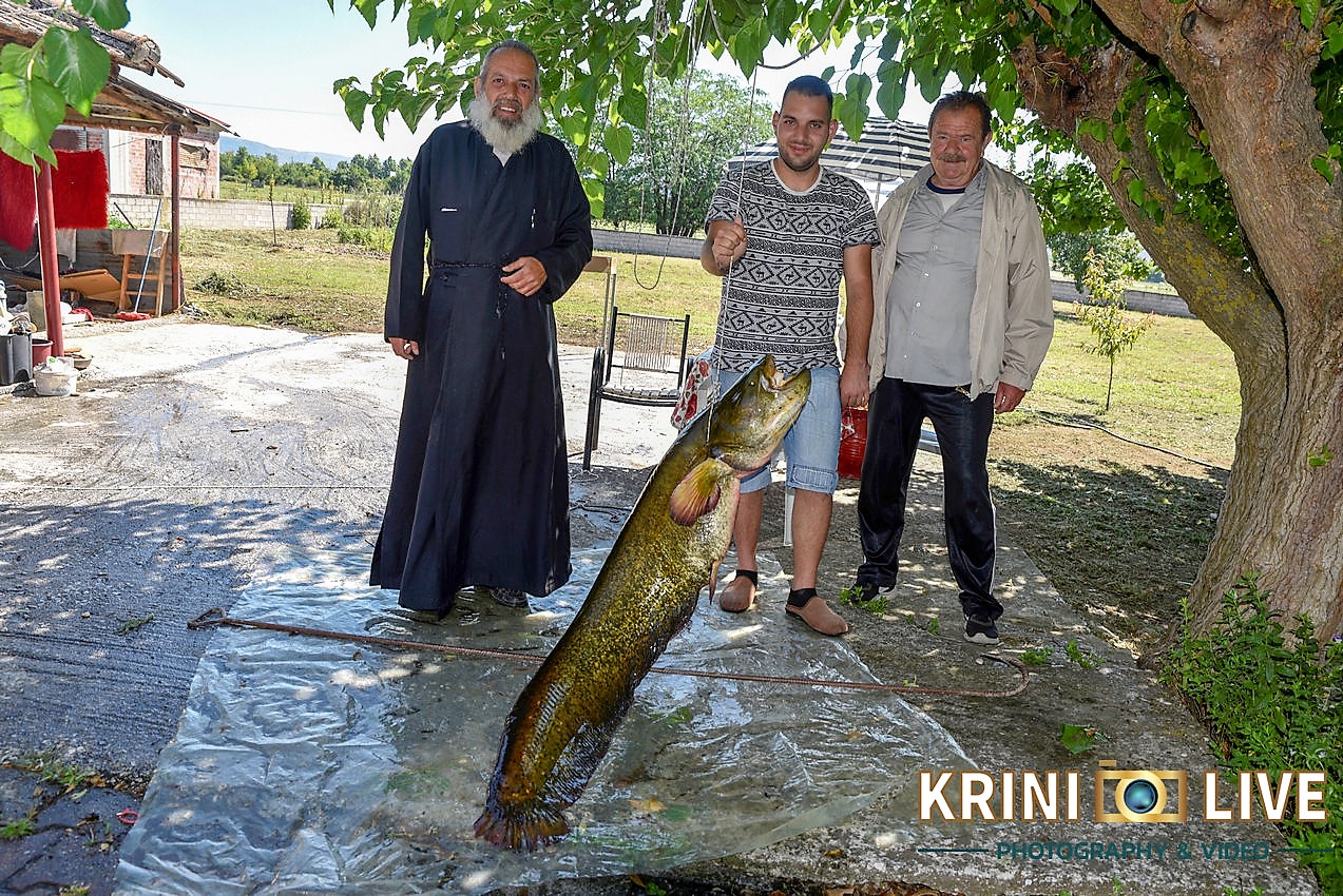 Ψάρι 35 κιλών «έβγαλε» Ιερέας από τον Πηνειό ποταμό στα Τρίκαλα