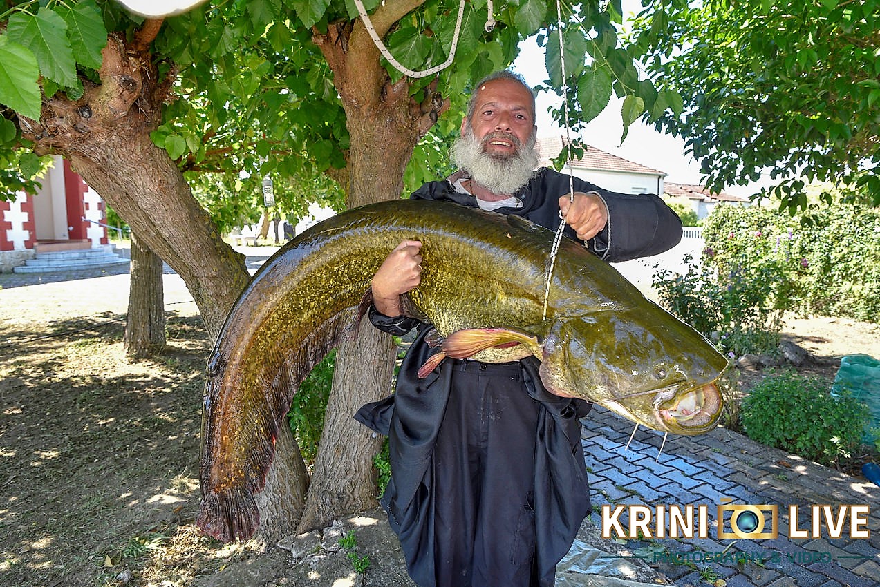 Ψάρι 35 κιλών «έβγαλε» Ιερέας από τον Πηνειό ποταμό στα Τρίκαλα
